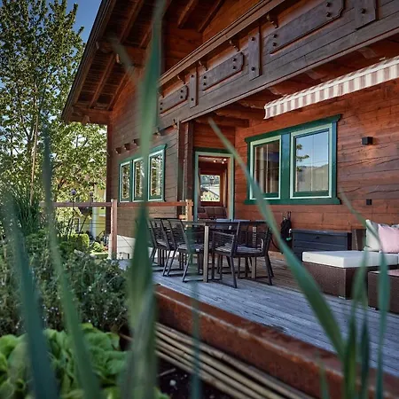 Flachau Lodge 山林小屋