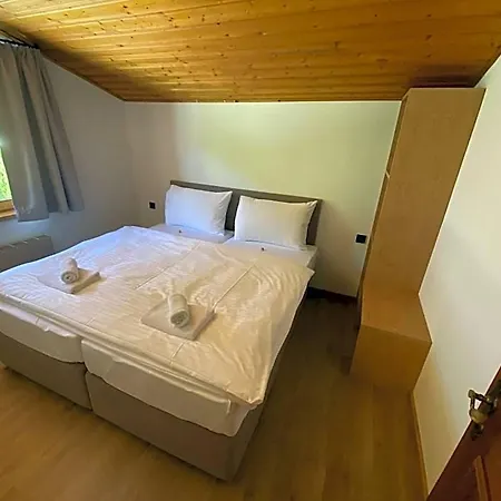 Orman Evi Flachau Lodge Flachau