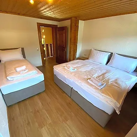 Orman Evi Flachau Lodge *