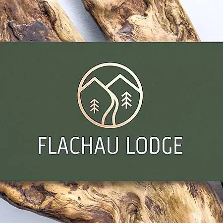 Orman Evi Flachau Lodge *